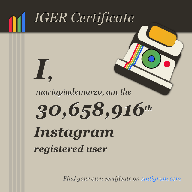 statigram-igercertif