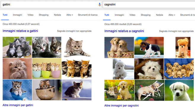 gattini_Vs_cagnolini