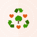 Contenuti Evergreen: come mantenere il tuo blog sempre aggiornato evergreen_content_tipi